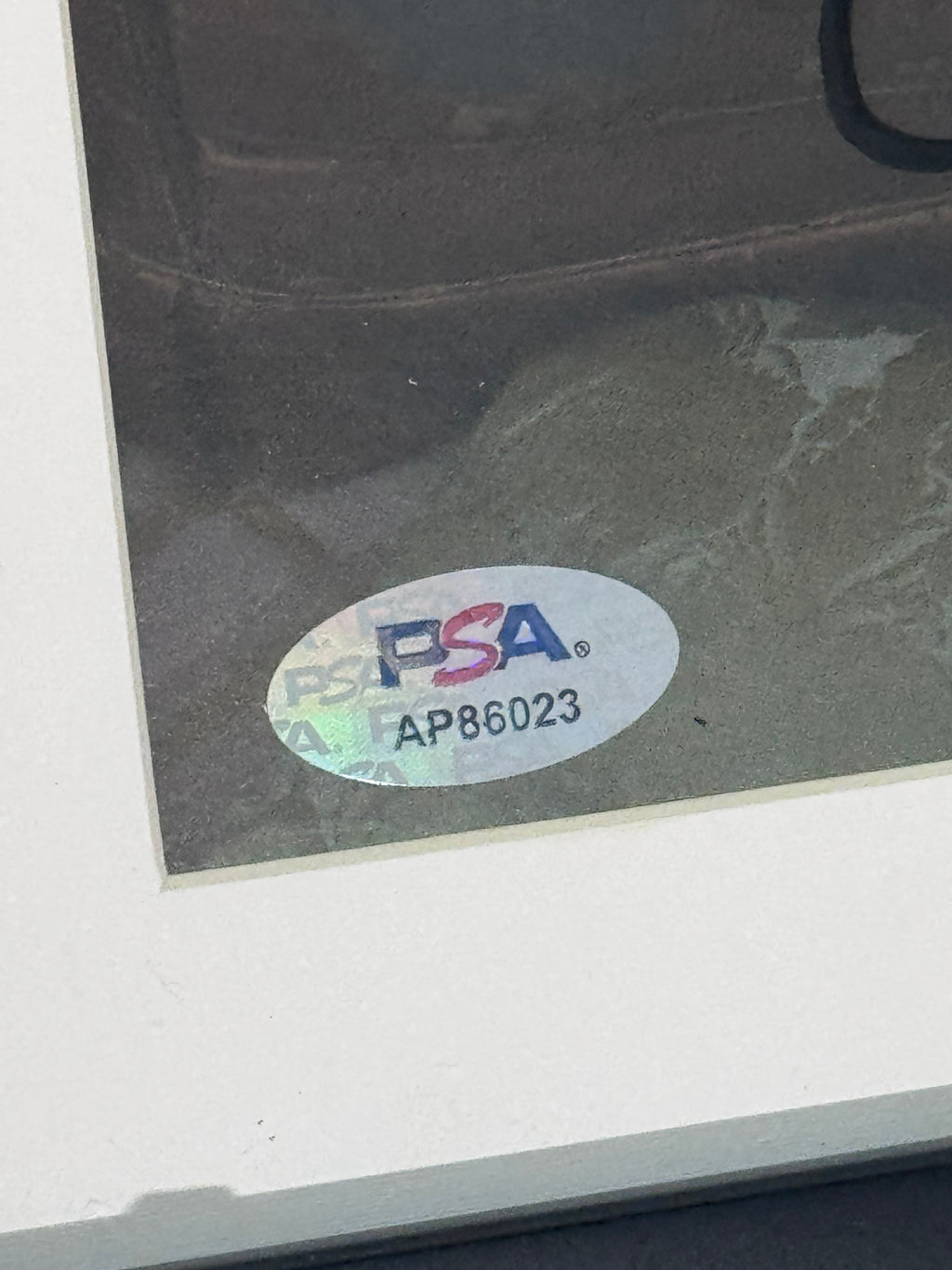 Taylor Swift Signed "The Life of a Showgirl" Custom Framed CD Display (PSA)