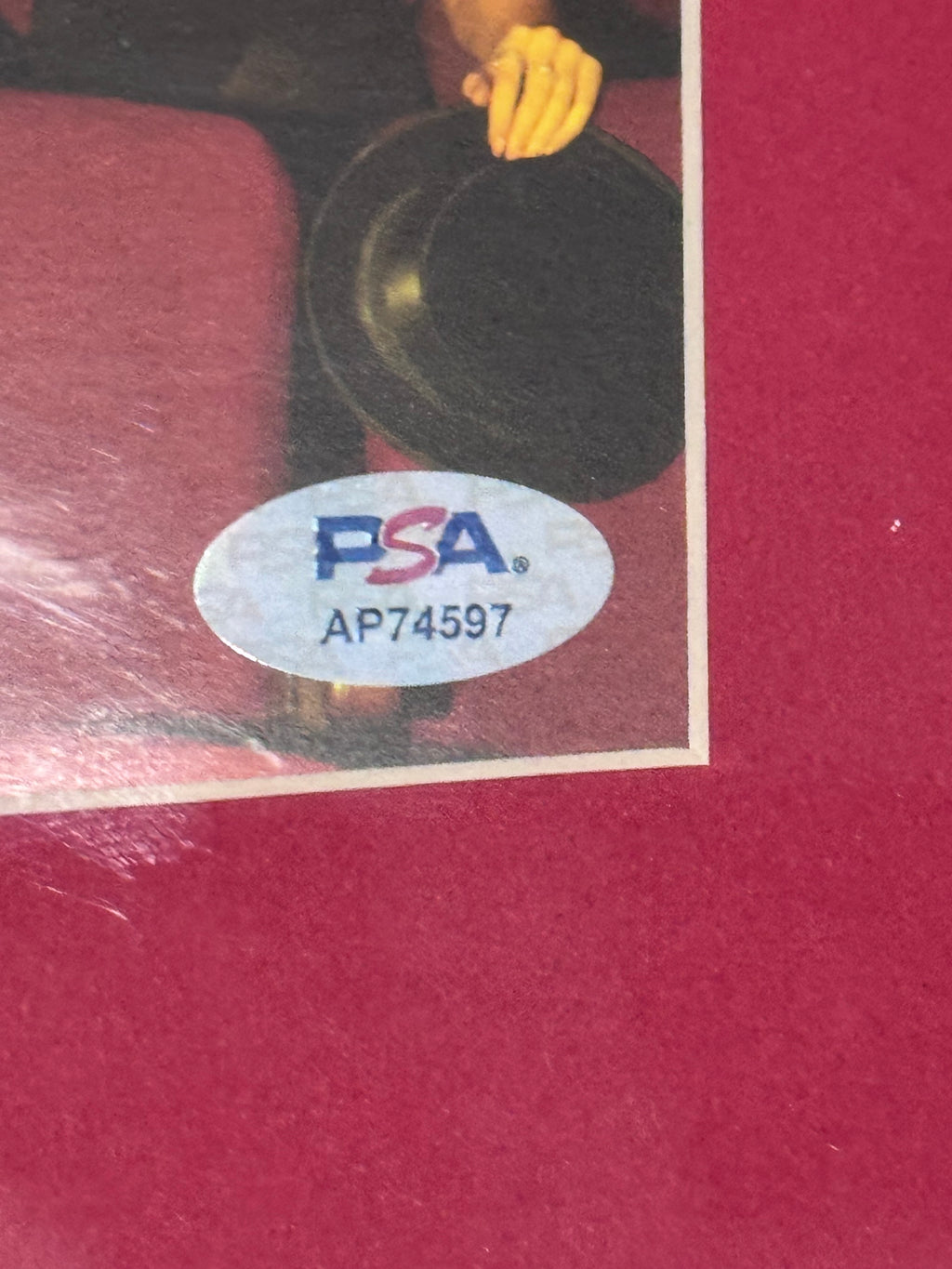 Taylor Swift Signed "The Life Of A Showgirl" Framed With Disc & Case (PSA)